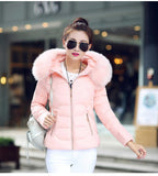 2023 Autumn And Winter New Women's Cotton Coat Short Big Wool Korean Version Of Large Size Women's Cotton Padded Jacket-Outfit