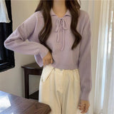 The New Korean Version Lace-Up Pullover In Spring 2024 Is Girly With Polo Collar And Simple Bottomed Sweater.-Outfit