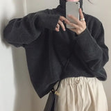 New 2022 Winter Spring Korean Style Knitwear Turtleneck Warm Pullover Solid Minimalist Elegant Women's Sweater
