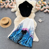 Fongt Elegant Style Suit Women's Summer High-End Design Sense Niche Sleeveless Shirt Top + Two-Piece Dress