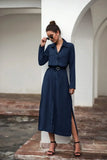 Office Lady Shirt Dress Women Turn-down Collar Long Sleeve Robe Dresses Female Casual Loose Long