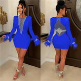 Elegant Birthday Dress for Women Crystal Diamonds Feathers Long Sleeve Bodycon Dress Party Night New Year Christmas Dresses-Outfit