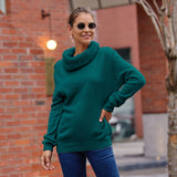 Fongt Sweater Women's Horse Hair Solid Color Long-Sleeved Collar Knitwear Shirt In Autumn And Winter 2025
