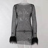 Women Sexy See Through Mesh Dress Feather Trim Long Sleeve Round Neck Hollow Out Mini Dresses for Party Club