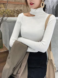 Knitted Women high neck Sweater Sexy Off Shoulder Pullovers Turtleneck Autumn Winter Basic Women Sweaters Slim Fit Tops-Outfit