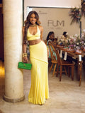 Fongt Spring And Summer New V-Neck Sling Vest Folding Hips Long Skirt Wool Set LX0187