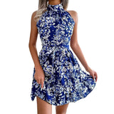 Women's Temu Sweet Princess Print Sleeveless Skirt Dress-Outfit