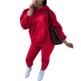 Tracksuits Casual Plush Warm Fluffy Suits Women's Long Sleeve Hooded Sweatshirt Hoodie Long Sporty 2 Piece