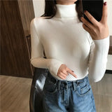 Autumn New Slim Long Sleeve Jumper Women Turtleneck Knitted Pullover Winter Sweater Women Soft Warm Sweater Pull Femme