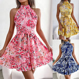 Women's Temu Sweet Princess Print Sleeveless Skirt Dress-Outfit
