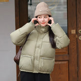 New Style Down Cotton Jacket Women's Winter Jacket-Outfit