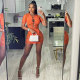 Sexy Zebra Print Cut Out Mesh Transparent Women Mini Dress for Beach Holiday Night Club Goth Party Bodycon Pencil Shorts