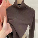 Women's Turtleneck Sweaters Warm Pullover Basic Slim Korean Casual Fall Winter Elegant Knitted Tops All Match