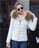 2023 New Women's Cotton-Padded Clothes Cotton-Padded Jacket Women's Large Size Korean Version Cotton-Padded Clothes Fashion Short Big Wool Collar Slim Cotton-Padded Jacket Tide-Outfit