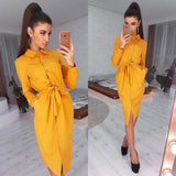 Vintage Front Button Sashes A-line Dress Long Sleeve Turn Down Collar Solid Elegant Dress 2020 Autumn Fashion Women