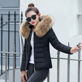 2023 New Women's Cotton-Padded Clothes Cotton-Padded Jacket Women's Large Size Korean Version Cotton-Padded Clothes Fashion Short Big Wool Collar Slim Cotton-Padded Jacket Tide-Outfit