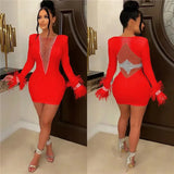 Elegant Birthday Dress for Women Crystal Diamonds Feathers Long Sleeve Bodycon Dress Party Night New Year Christmas Dresses-Outfit
