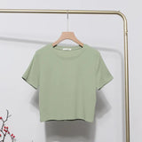 Fongt Solid Short-Sleeved T-Shirt Burst Small Short Sweet Spicy Slim Slim Thin Collar Top 88122