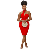 Fashion Women's Solid Color Neck Wrapped Chest Sleeveless Off-The-Shoulder Dress-Outfit