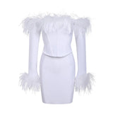 Fongt Dress 2025 New Shoulder Long-Sleeved Feather Dress For