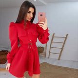 Turn Down Collar A Line Mini