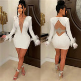 Elegant Birthday Dress for Women Crystal Diamonds Feathers Long Sleeve Bodycon Dress Party Night New Year Christmas Dresses-Outfit