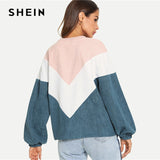 Cut and Sew Chevron Preppy Round Neck Bishop Sleeve Colorblock