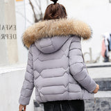 2023 Autumn And Winter New Women's Cotton Coat Short Big Wool Korean Version Of Large Size Women's Cotton Padded Jacket-Outfit