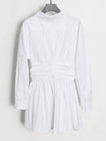 Fongt Simple Style Dress Women 2025 Spring New Collar Folded Waist Design Solid Color Long Sleeve