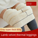 Leggings for Women Thickened High Waisted Lamb Cashmere Pants Cotton Casual Basic Versatile Autumn/Winter Women