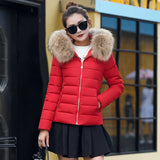 2023 New Women's Cotton-Padded Clothes Cotton-Padded Jacket Women's Large Size Korean Version Cotton-Padded Clothes Fashion Short Big Wool Collar Slim Cotton-Padded Jacket Tide-Outfit