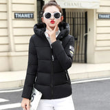 Cotton-Padded Jacket Women Winter Korean Version Slim Thin Padded Jacket New Down Padded Coat Women Warm Student Coat-Outfit