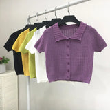 Sweater Women's 2024 Summer Korean Version Of Single-Breasted Polo Collar Knitted T-Shirt Short Style Short-Sleeved Blouse-Outfit
