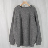 2021 New Winter Spring Women Sweaters Pullovers Hooded Minimalist Oversize Korean Style Elegant LadiesTops