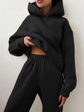 Piece Sets Women Tracksuit Winter Fleece Solid Long Sleeve Hoodies Jogger Pants Suits Female Casual Fashion Loose
