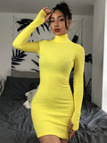 Dress Knitted Long Sleeve Dress Bodycon Dress Solid Brown Autumn Winter Woman Dress Basic Streetwear Turtleneck Mini