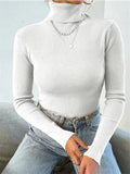 Turtleneck Ribbed Knit Sweater-Outfit