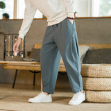 Chinese Style Men's Pants 2024 New Summer Linen Pants Loose Trend Cotton Linen Small Feet Harun Casual Pants-Outfit
