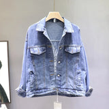Autumn Loose-Fit Denim Jacket Handsome Boyfriend Wind Heavy Embroidery Small Crane Fashionable Black Jacket