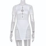 Sexy Zebra Print Cut Out Mesh Transparent Women Mini Dress for Beach Holiday Night Club Goth Party Bodycon Pencil Shorts