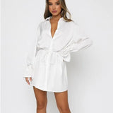 Lapel Neck Shirt Dress Solid Color Single-breasted Long Sleeve Drawstring High Waist Straight Mini Dress Fall Spring