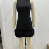 Fongt Sense A Dress 2025 Autumn New Standing Collar Sleeveless Solid Color Feathers Spliced Dress Dress Woman
