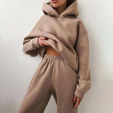 Piece Sets Women Tracksuit Winter Fleece Solid Long Sleeve Hoodies Jogger Pants Suits Female Casual Fashion Loose