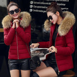 2023 New Women's Cotton-Padded Clothes Cotton-Padded Jacket Women's Large Size Korean Version Cotton-Padded Clothes Fashion Short Big Wool Collar Slim Cotton-Padded Jacket Tide-Outfit
