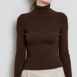 Turtleneck Slim Sweater Women Pullovers 2021 Autumn Thick Long Sleeve Basic All-match Tops Ladies Fashion Office