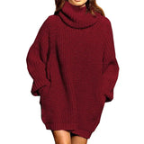 Fongt And Winter New Fashion Long Sleeve High Collar Pocket Long Dress Loose Sweater