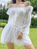 Long Sleeve Corset Mini Dress-Outfit
