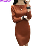 Autumn Winter Women Sweater Dress Warm Pullovers Sweater Elastic Slim Knitted Dress Bottoming Sexy Women Mini Dresses