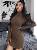 Dress Knitted Long Sleeve Dress Bodycon Dress Solid Brown Autumn Winter Woman Dress Basic Streetwear Turtleneck Mini