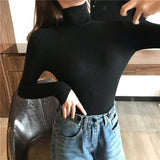 Autumn New Slim Long Sleeve Jumper Women Turtleneck Knitted Pullover Winter Sweater Women Soft Warm Sweater Pull Femme